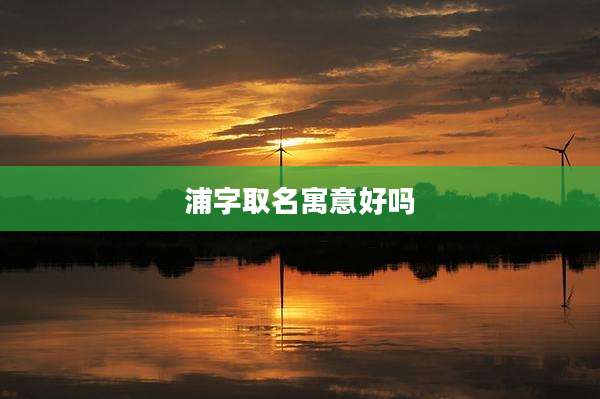 浦字取名寓意好吗