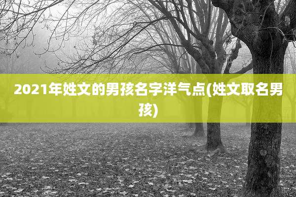 2021年姓文的男孩名字洋气点(姓文取名男孩)