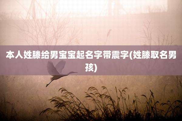 本人姓滕给男宝宝起名字带震字(姓滕取名男孩)