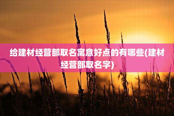 给建材经营部取名寓意好点的有哪些(建材经营部取名字)