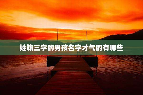 姓鞠三字的男孩名字才气的有哪些