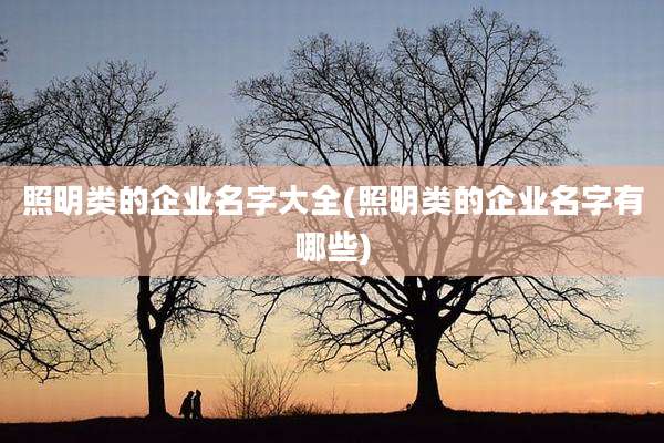 照明类的企业名字大全(照明类的企业名字有哪些)