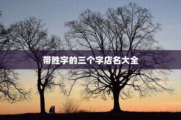 带胜字的三个字店名大全