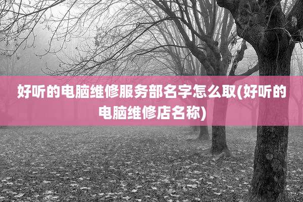 好听的电脑维修服务部名字怎么取(好听的电脑维修店名称)