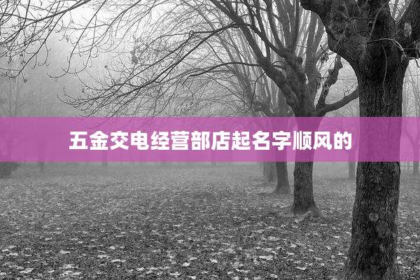 五金交电经营部店起名字顺风的