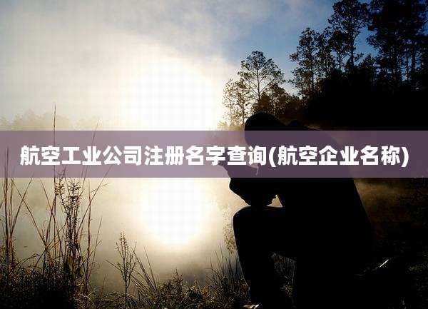 航空工业公司注册名字查询(航空企业名称)