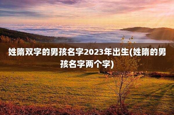 姓隋双字的男孩名字2023年出生(姓隋的男孩名字两个字)