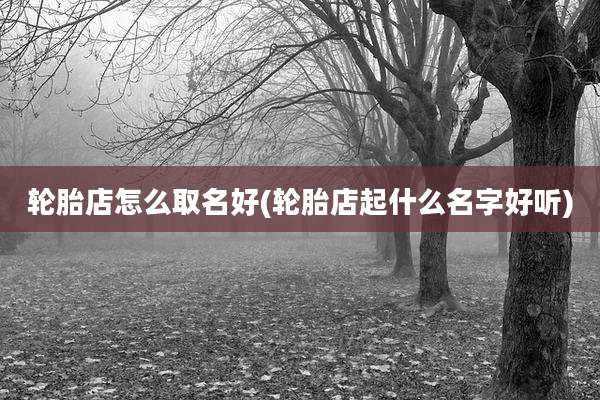 轮胎店怎么取名好(轮胎店起什么名字好听)