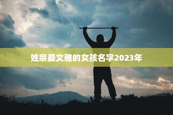 姓宗最文雅的女孩名字2023年