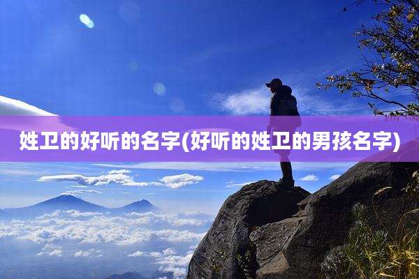 姓卫的好听的名字(好听的姓卫的男孩名字)