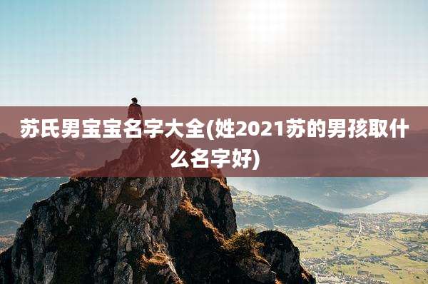 苏氏男宝宝名字大全(姓2021苏的男孩取什么名字好)