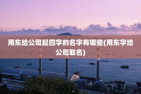 用东给公司起四字的名字有哪些(用东字给公司取名)