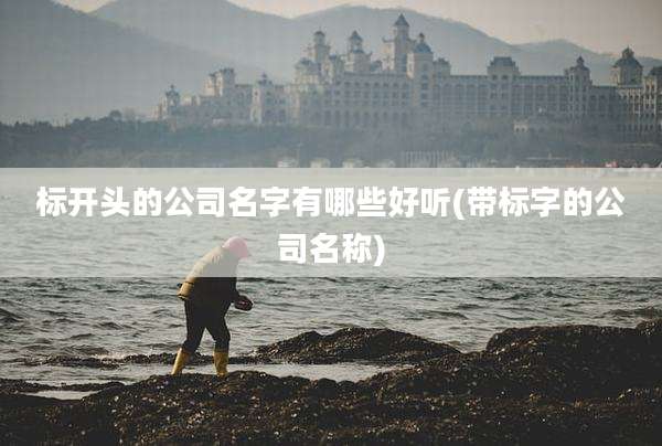 标开头的公司名字有哪些好听(带标字的公司名称)