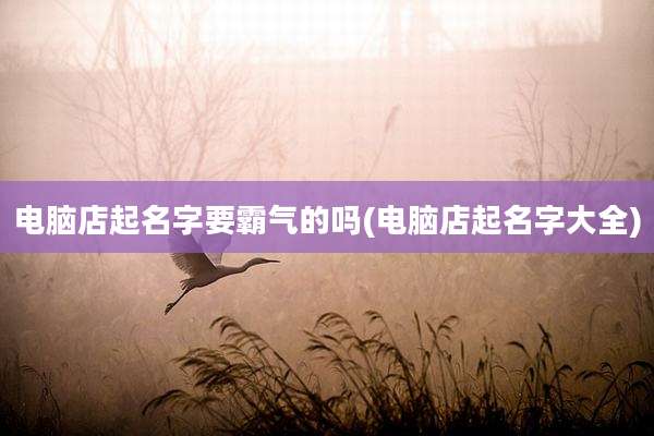 电脑店起名字要霸气的吗(电脑店起名字大全)