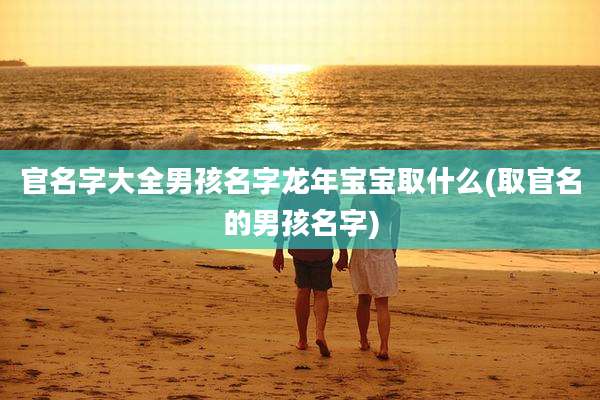 官名字大全男孩名字龙年宝宝取什么(取官名的男孩名字)