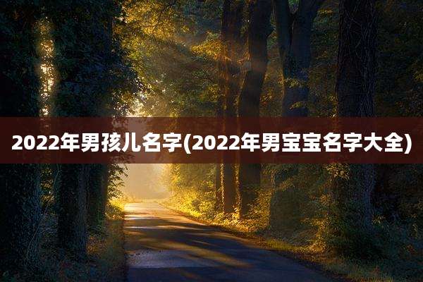 2022年男孩儿名字(2022年男宝宝名字大全)