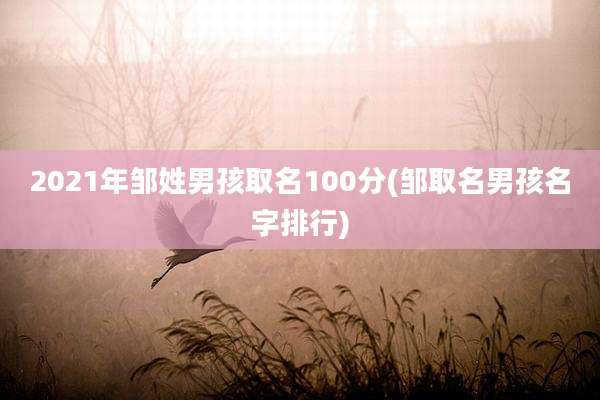 2021年邹姓男孩取名100分(邹取名男孩名字排行)