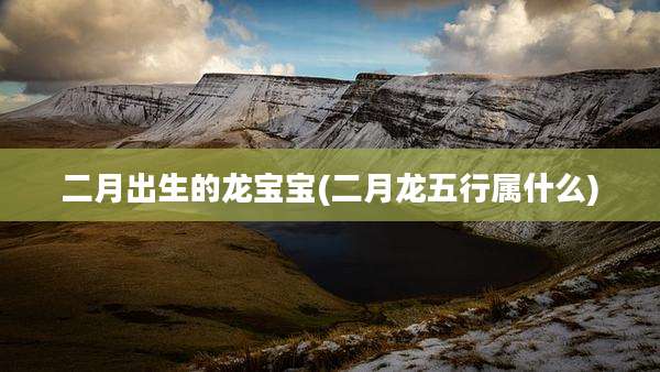二月出生的龙宝宝(二月龙五行属什么)