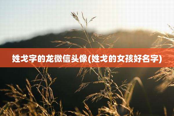 姓戈字的龙微信头像(姓戈的女孩好名字)
