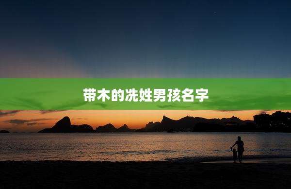 带木的冼姓男孩名字