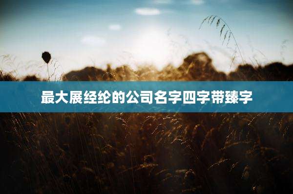 最大展经纶的公司名字四字带臻字
