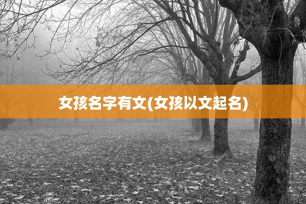 女孩名字有文(女孩以文起名)