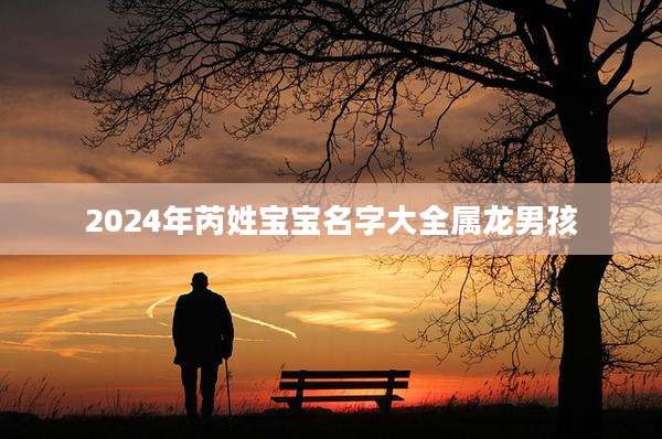 2024年芮姓宝宝名字大全属龙男孩