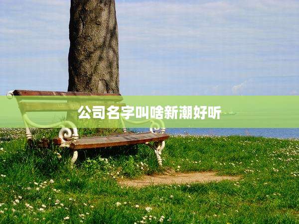 公司名字叫啥新潮好听
