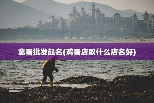 禽蛋批发起名(鸡蛋店取什么店名好)