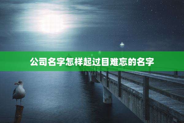 公司名字怎样起过目难忘的名字
