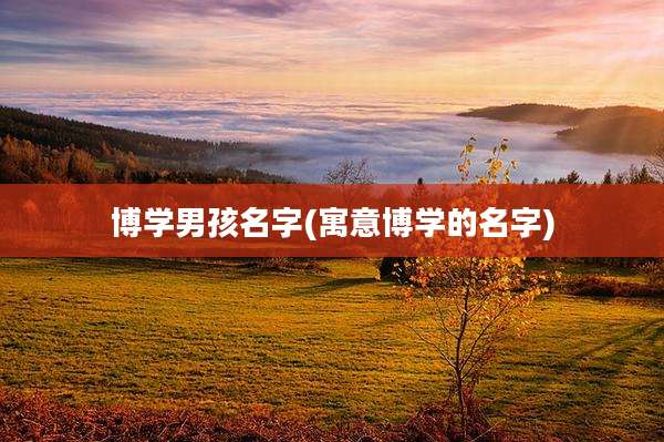 博学男孩名字(寓意博学的名字)
