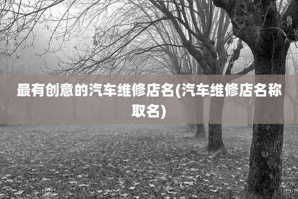 最有创意的汽车维修店名(汽车维修店名称取名)