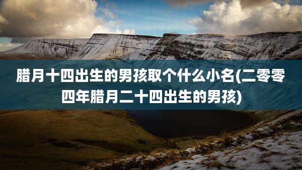 腊月十四出生的男孩取个什么小名(二零零四年腊月二十四出生的男孩)