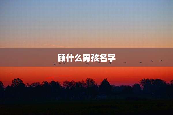 顾什么男孩名字