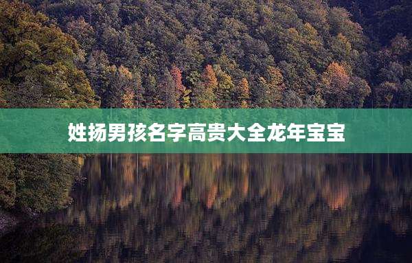姓扬男孩名字高贵大全龙年宝宝