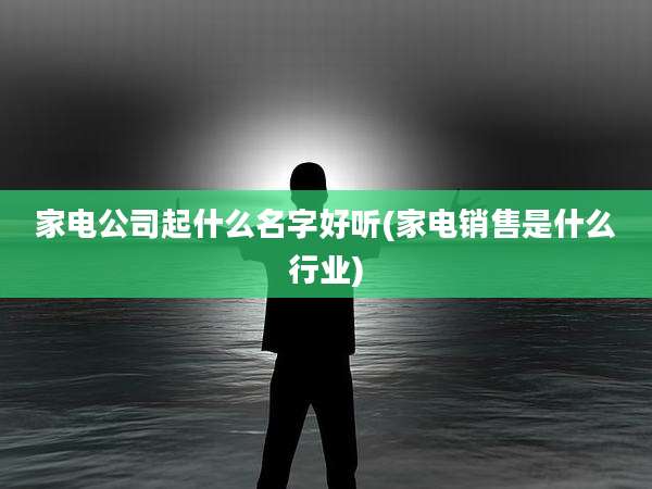 家电公司起什么名字好听(家电销售是什么行业)