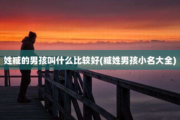姓臧的男孩叫什么比较好(臧姓男孩小名大全)