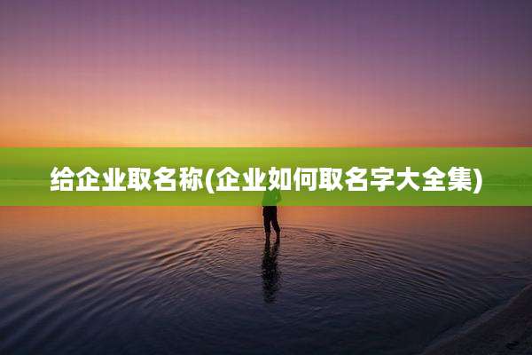 给企业取名称(企业如何取名字大全集)