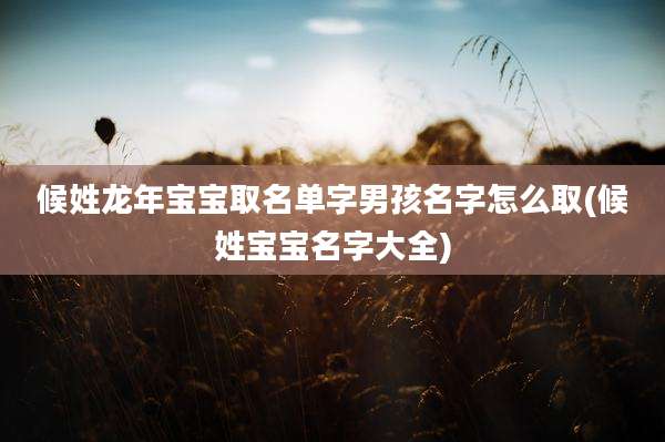 候姓龙年宝宝取名单字男孩名字怎么取(候姓宝宝名字大全)