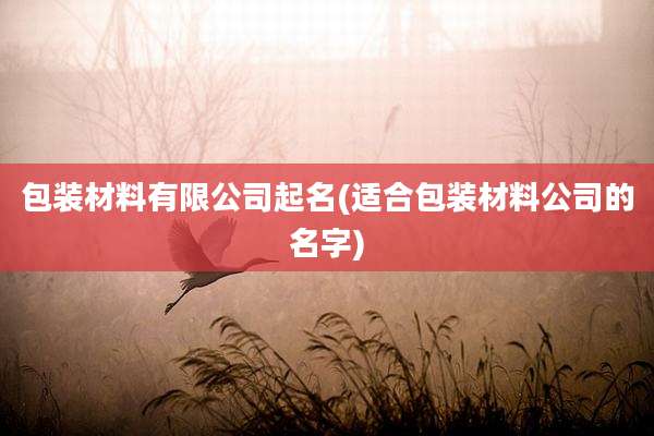 包装材料有限公司起名(适合包装材料公司的名字)
