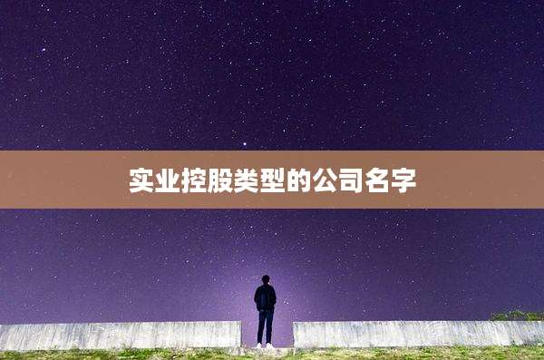 实业控股类型的公司名字