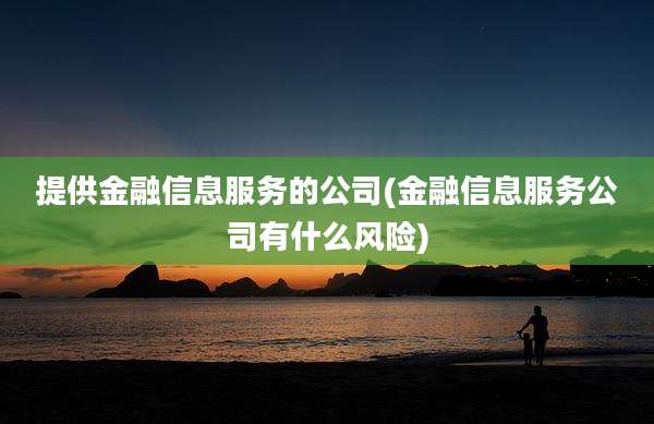 提供金融信息服务的公司(金融信息服务公司有什么风险)