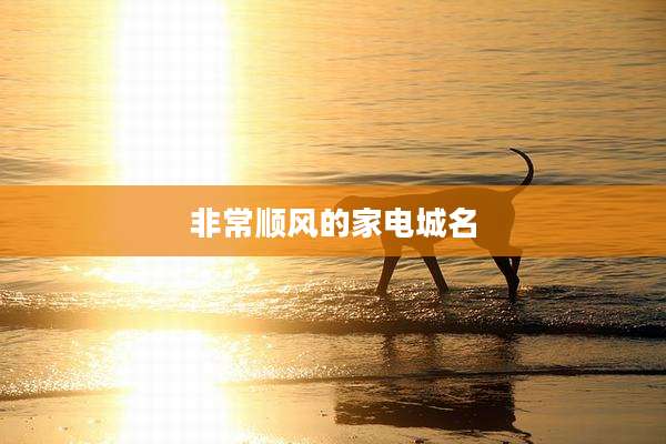 非常顺风的家电城名