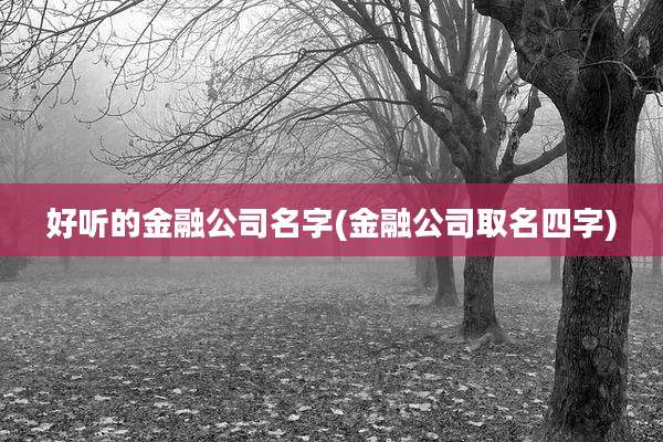 好听的金融公司名字(金融公司取名四字)