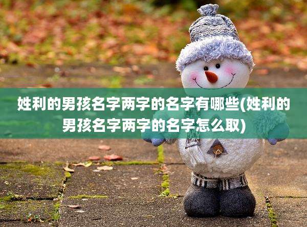 姓利的男孩名字两字的名字有哪些(姓利的男孩名字两字的名字怎么取)