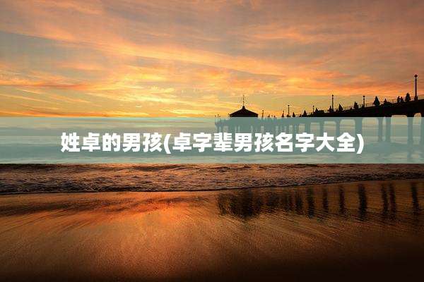 姓卓的男孩(卓字辈男孩名字大全)