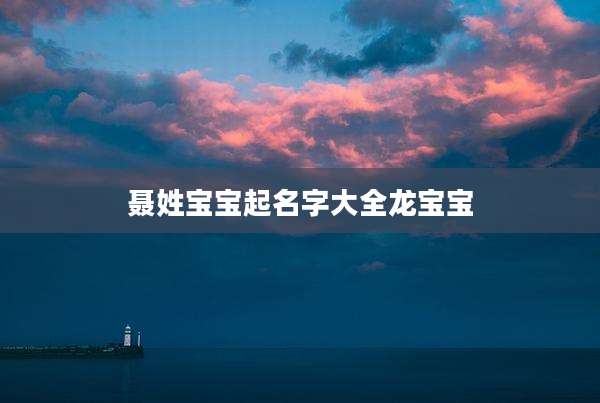 聂姓宝宝起名字大全龙宝宝