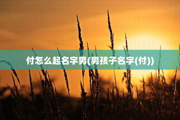 付怎么起名字男(男孩子名字(付))