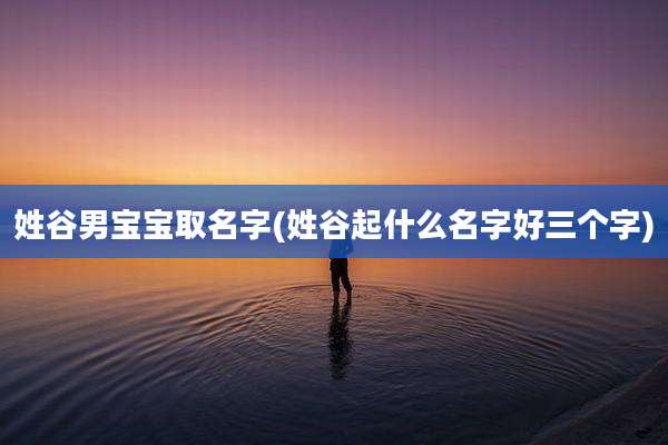 姓谷男宝宝取名字(姓谷起什么名字好三个字)