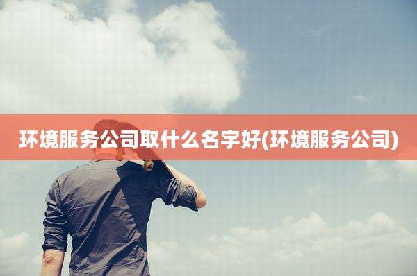 环境服务公司取什么名字好(环境服务公司)
